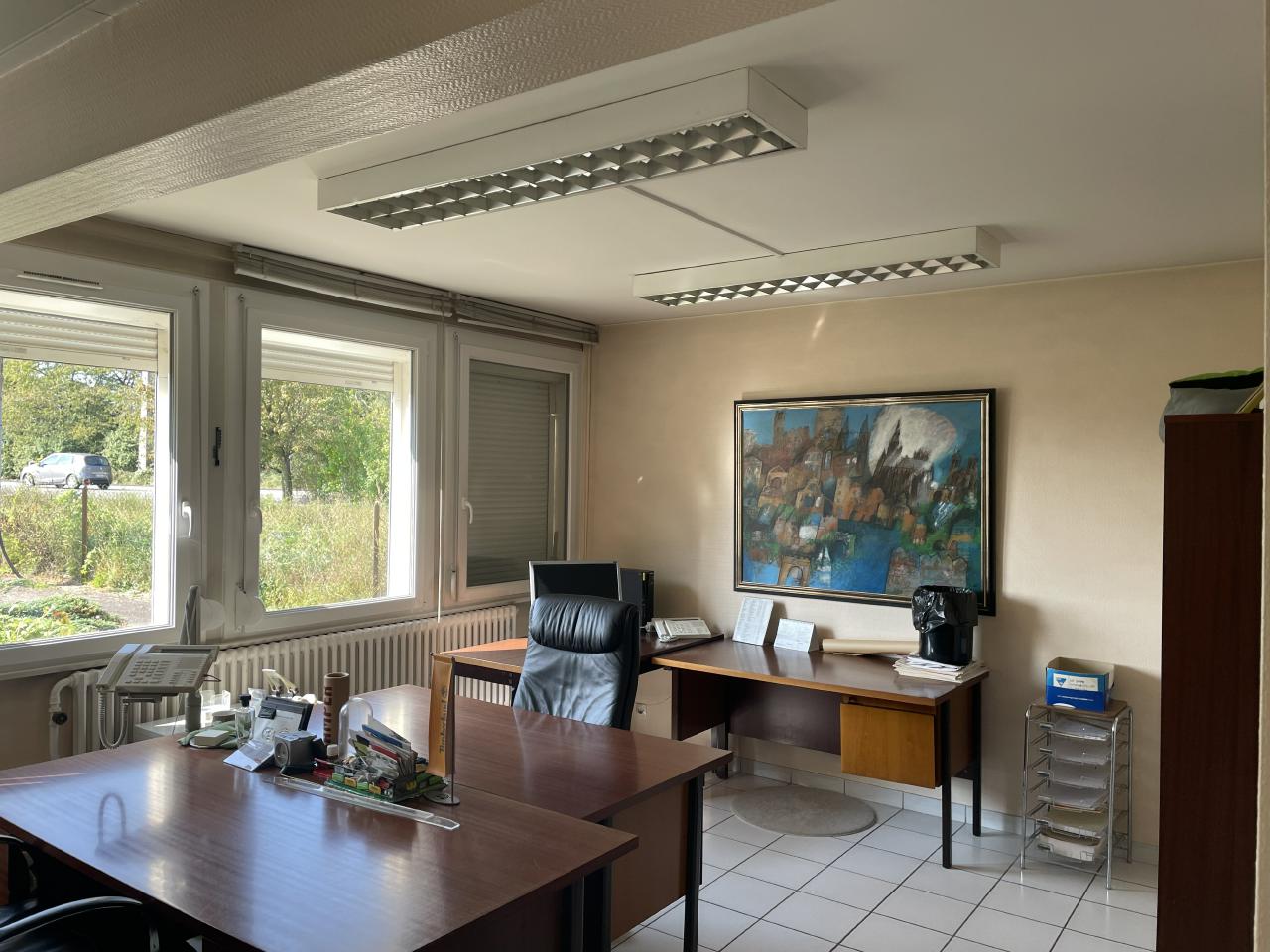 Local d'activité Marly 2907m² Vente local d'activité Marly Moselle OVACT2118531 5